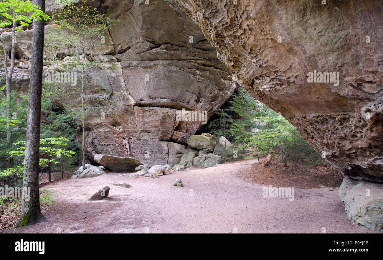 South Arch of the Twin Arches, Big South Fork National River and Recreation Area, Tennessee Stock Photo