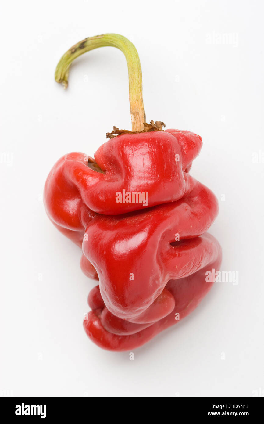 Red chili pepper deformed shape Stock Photo - Alamy Red chili pepper deformed shape Stock Photo - Alamy