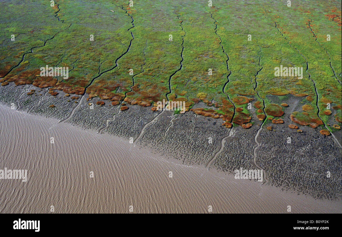 aerial view above tidal wetlands and mud flats south San Francisco bay Stock Photo