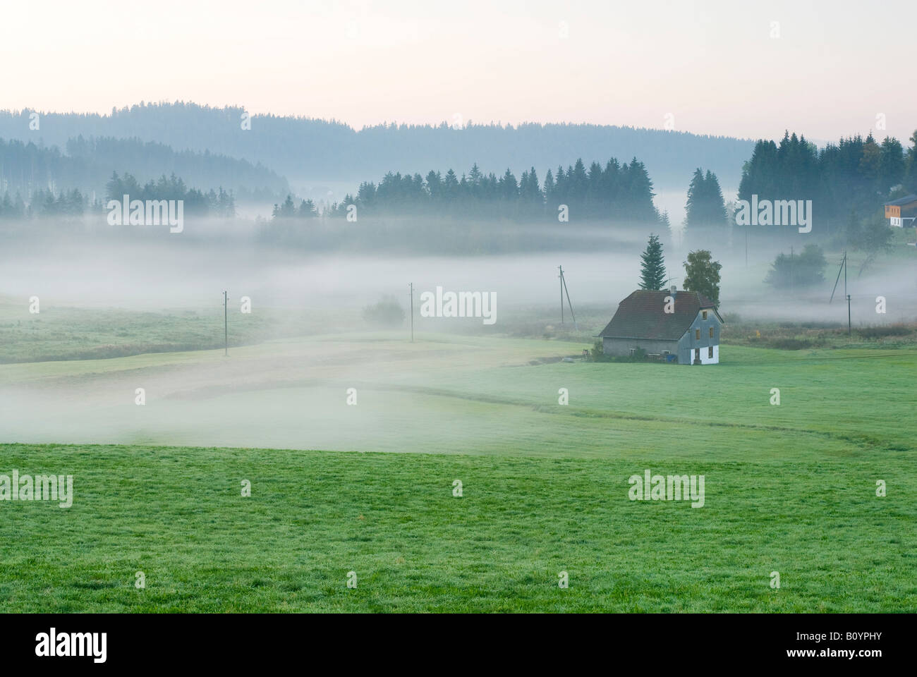Germany, Black forest, Breitnau, Morning mist Stock Photo