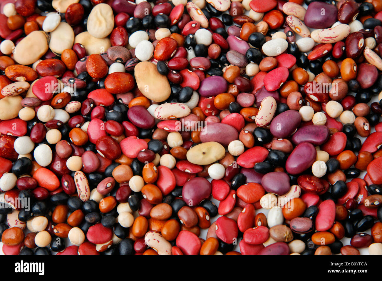 Some of the incredible variety of beans on sale in Chiapas Mexico Stock Photo