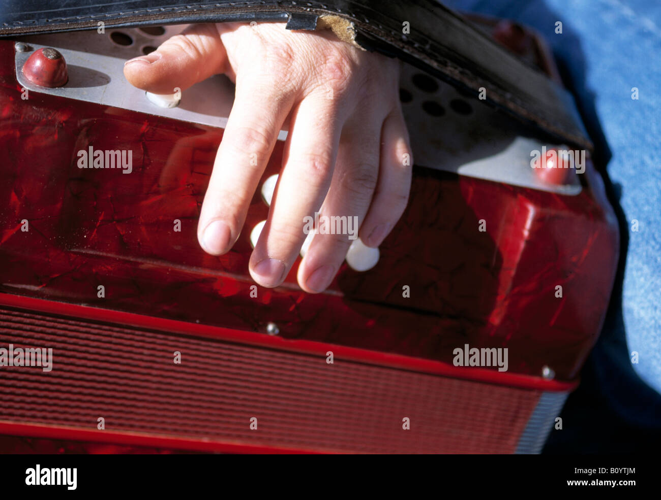 an irish accordion player playing in a bar/pub Stock Photo Alamy