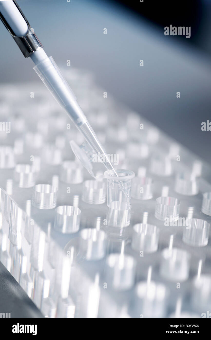 Genetic engineering, using a pipette, close up Stock Photo