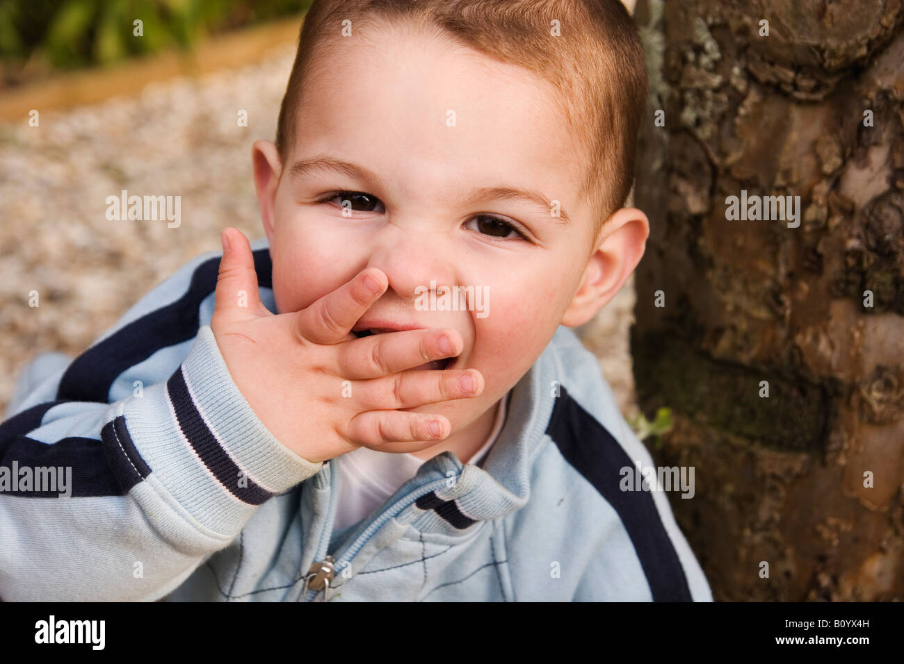 2 year-old boy Stock Photo