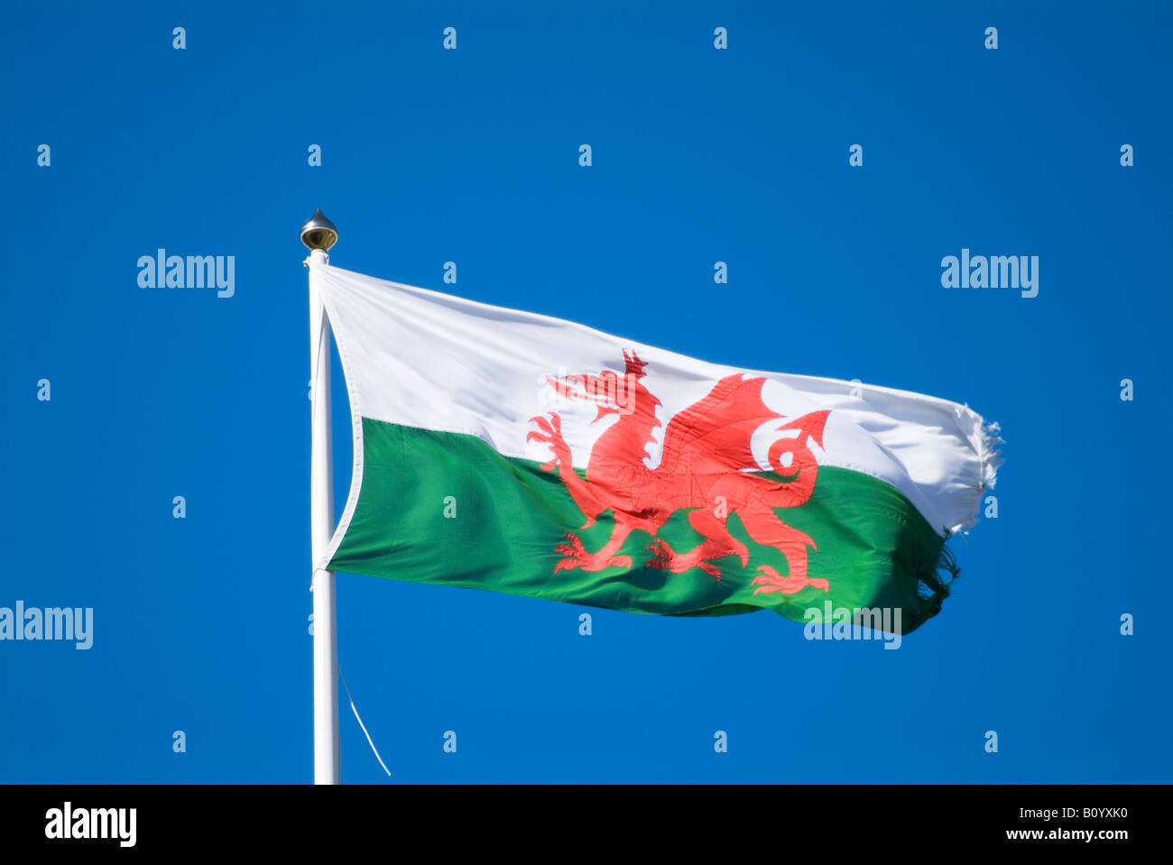 dh  FLAG WALES Welsh official flag green and white red dragon cymru flying national Stock Photo