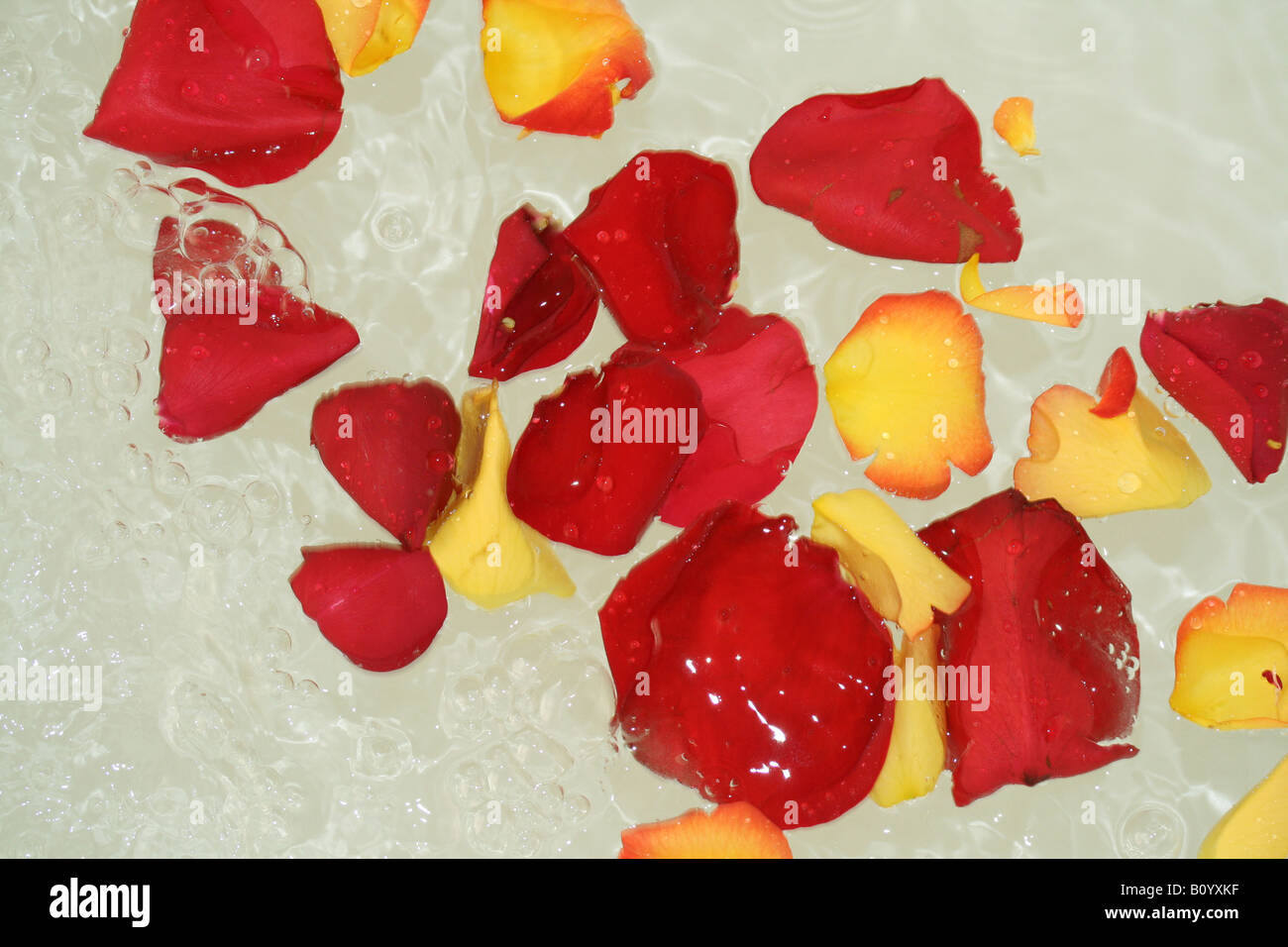 Rose Petals in hot tub Stock Photo Alamy