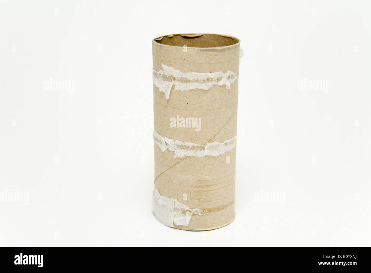 Empty toilet paper roll Stock Photo Alamy