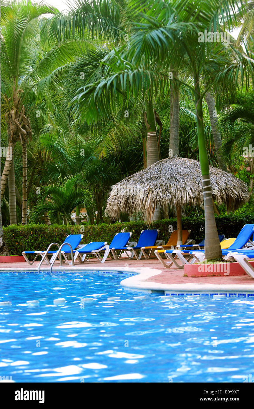 Swimming pool and palm trees at tropical resort Stock Photo