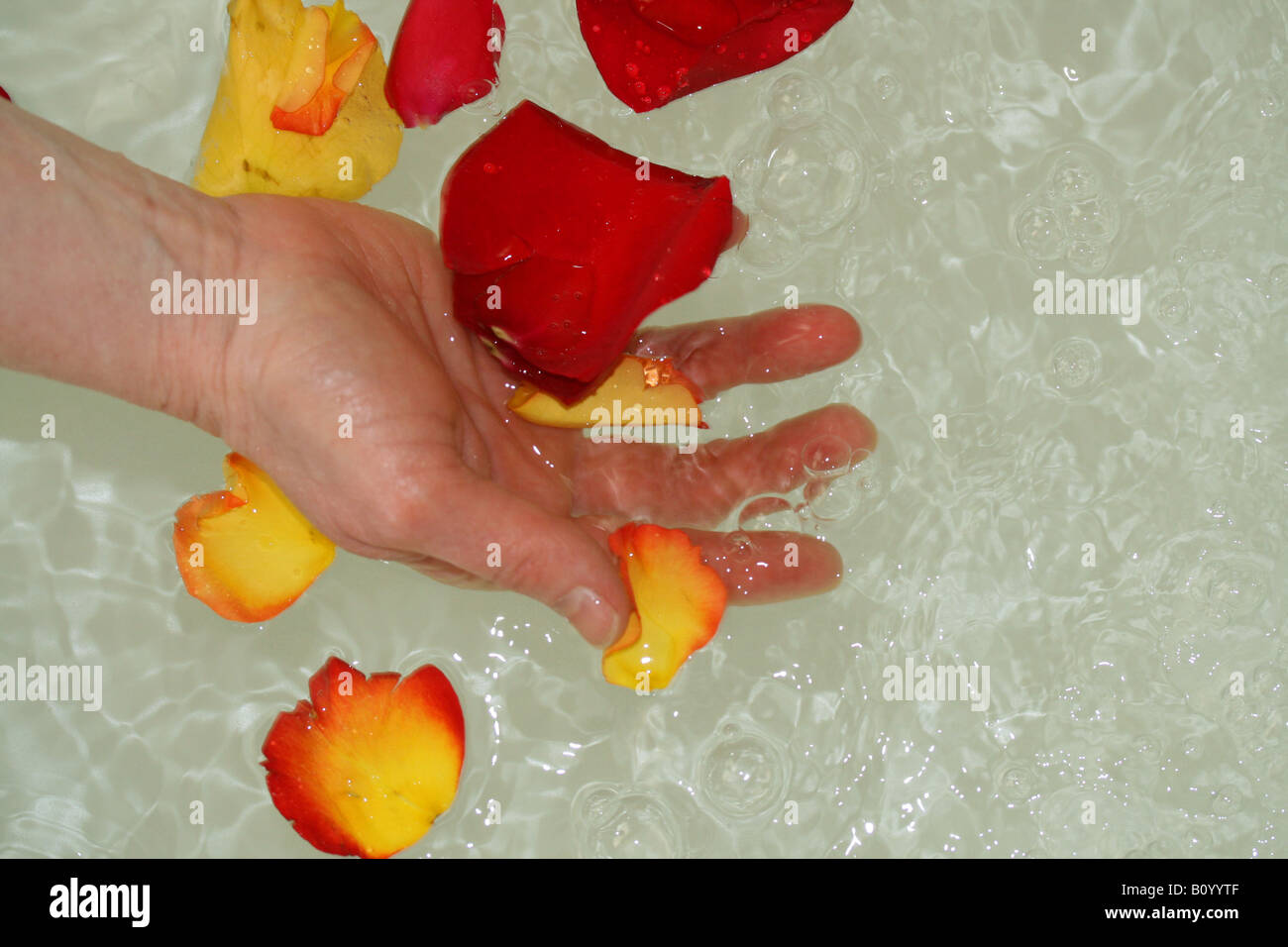 Rose Petals in hot tub Stock Photo Alamy