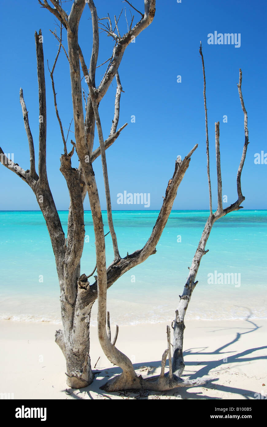 Cayo Levisa one of the best beaches in Northern Pinar del Rio Cuba Stock Photo