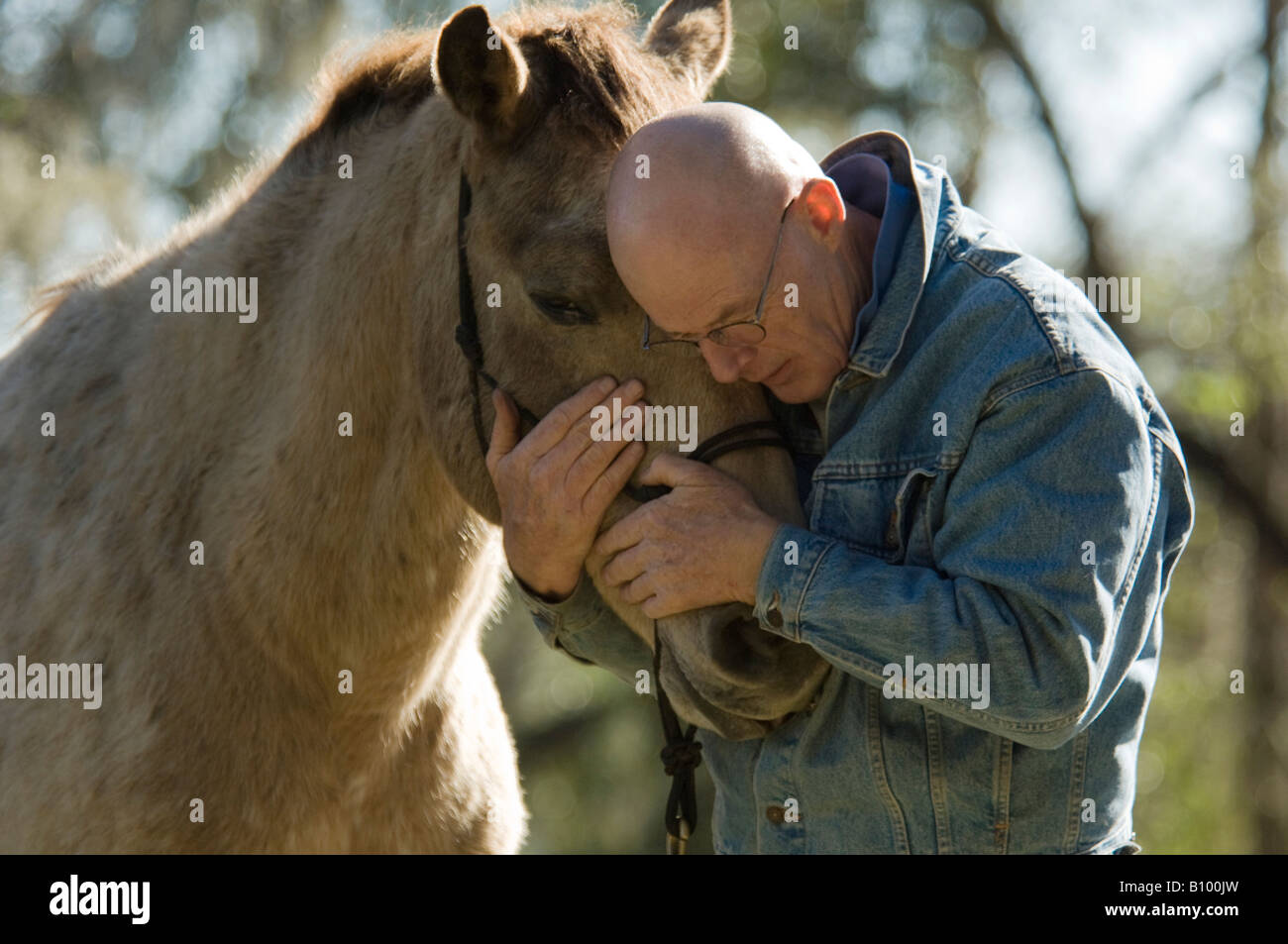 Senior aged man with old horse Stock Photo