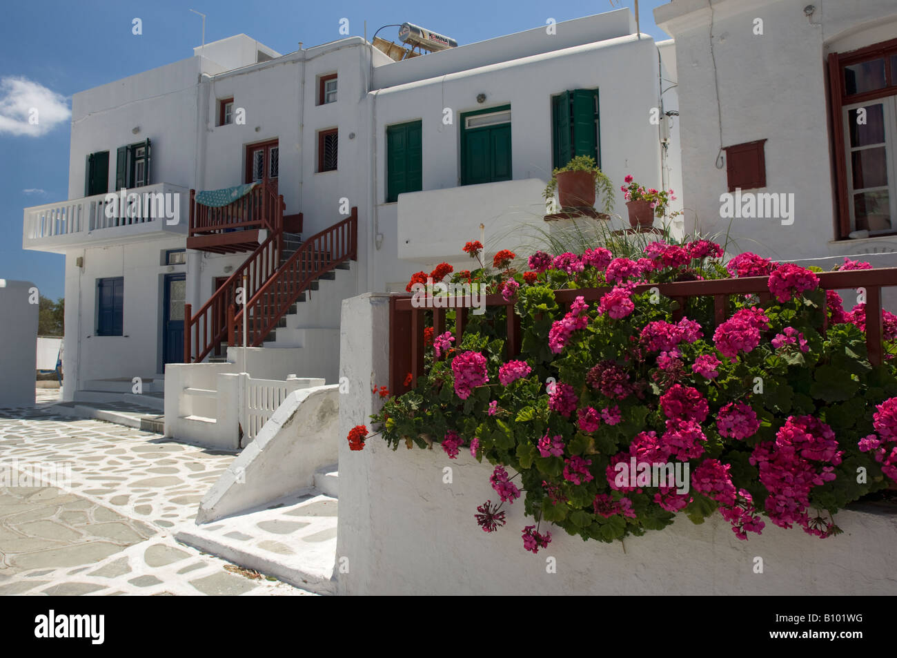 Typical Mykonos whitewashed cottages with stunning pink Bouganvilla in