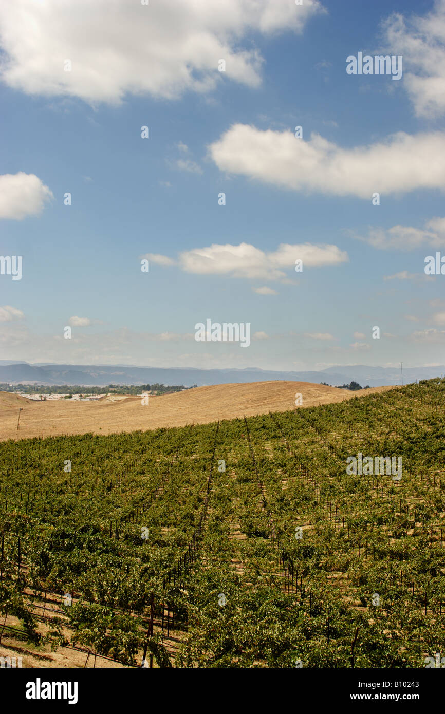 Southern California Wine Region Stock Photo Alamy