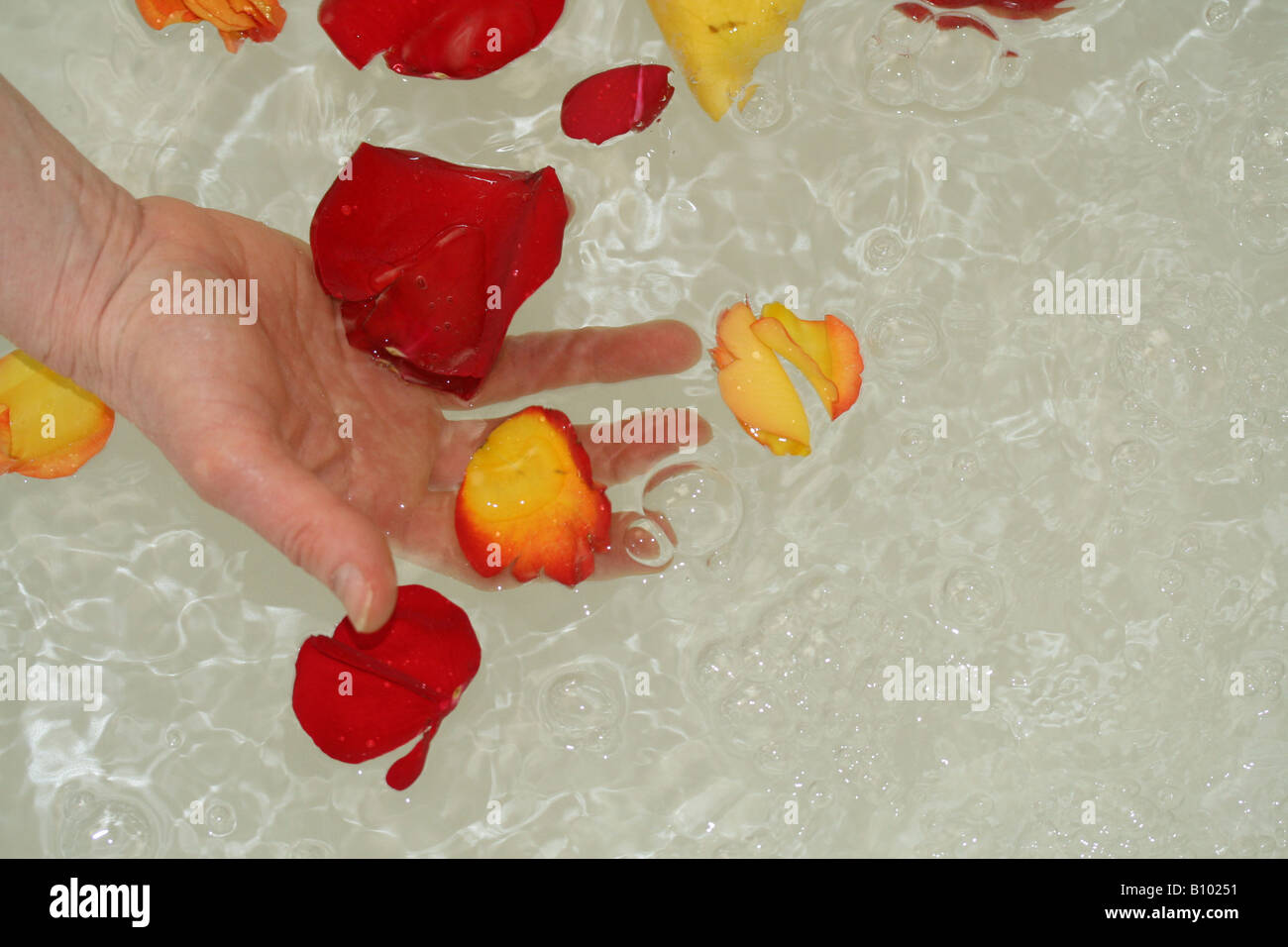 Rose Petals in hot tub Stock Photo Alamy