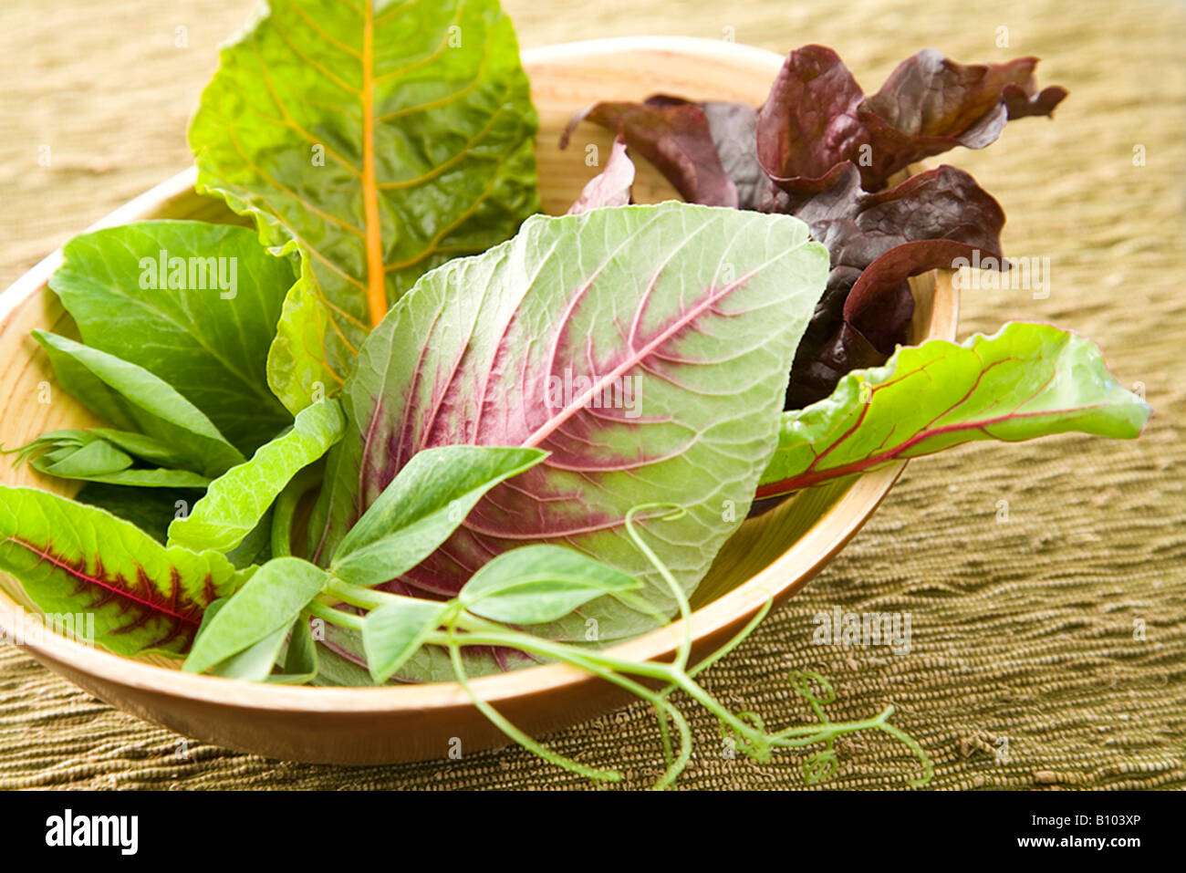 Green placemats hires stock photography and images Alamy