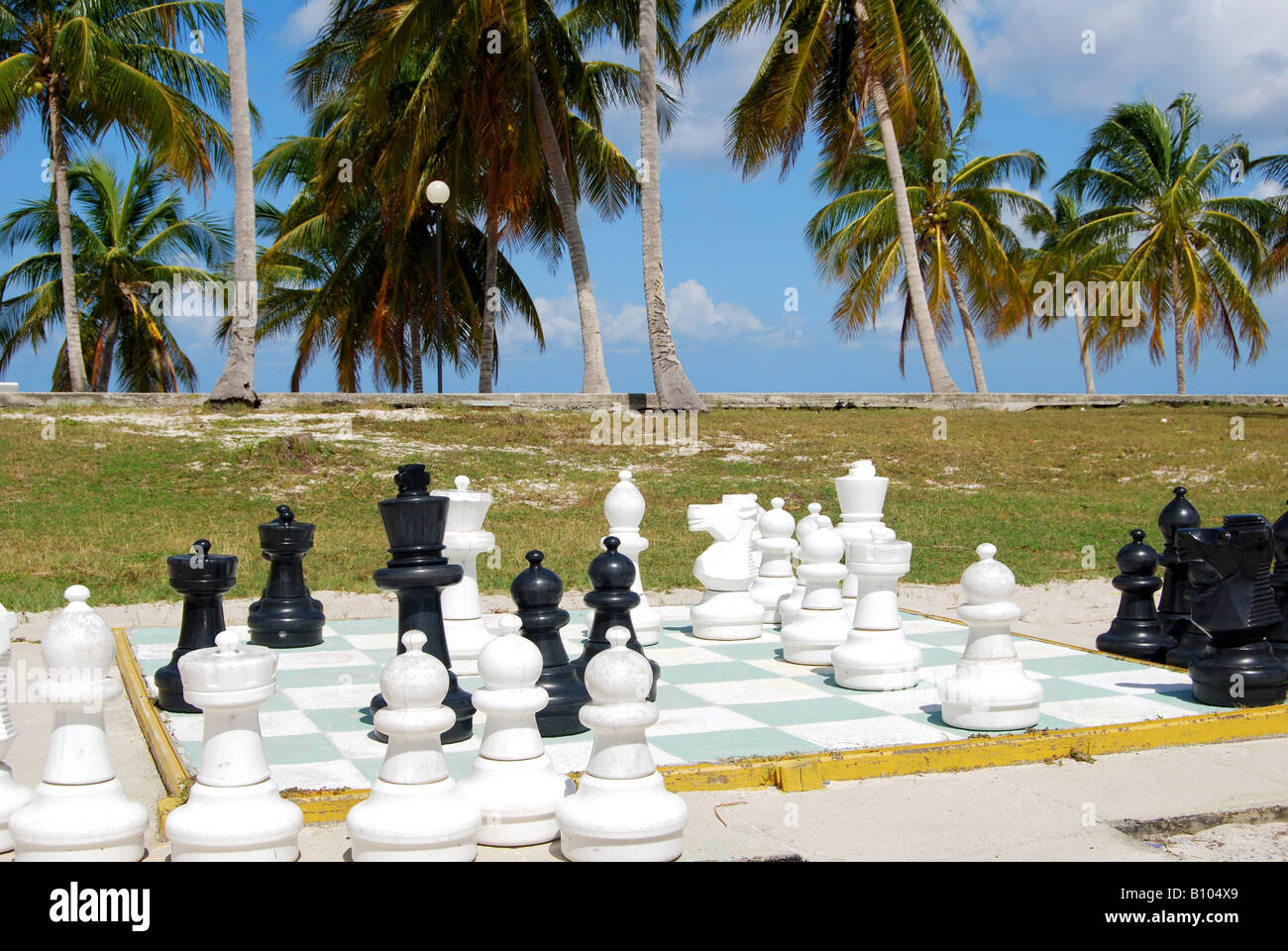 Chess Travel: Brazil: Chess, Music and Papaya