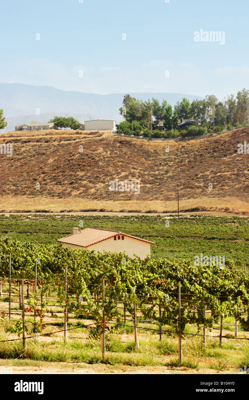 Winery Temecula California Stock Photo Alamy