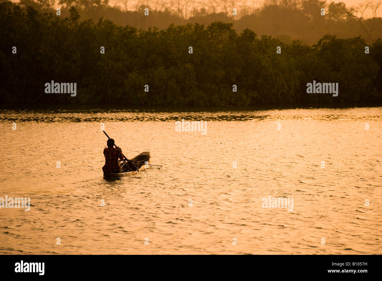 Sunset over mangrove swamp, the Gambia, Africa Stock Photo