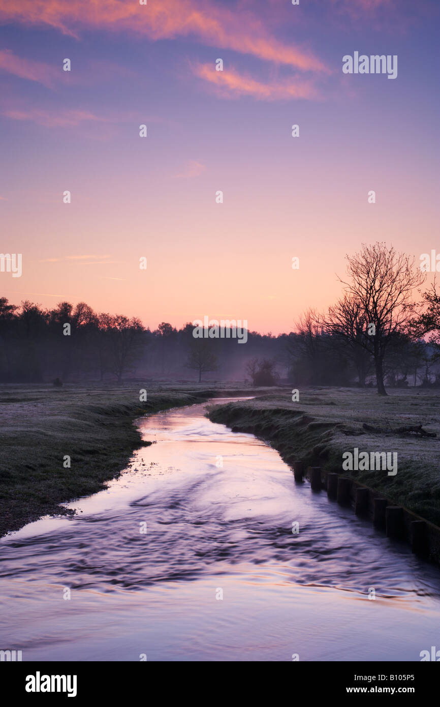 Sunrise over Ober Water, near Rhinefield, New Forest National Park, Hampshire, UK Stock Photo