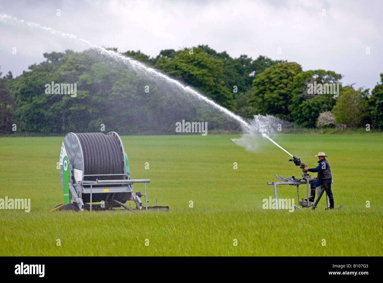 A farm worker adjusting the spray of a Bauer Rainstar irrigation sprinkler  on a wheat crop, Shottisham, Suffolk, UK Stock Photo - Alamy