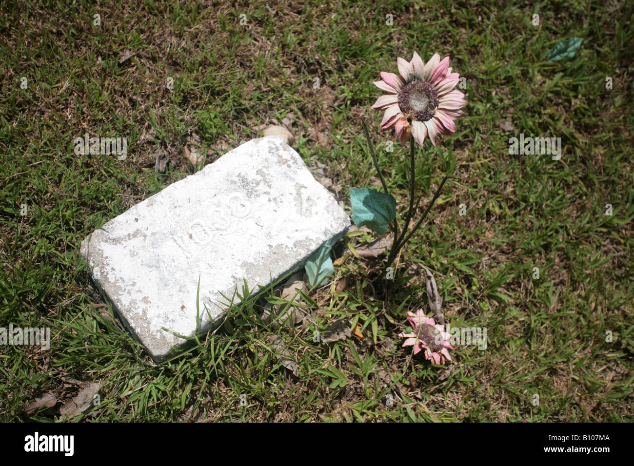 Old abandoned american cemetery at the Corozal area of the Old Panama Canal Zone Stock Photo