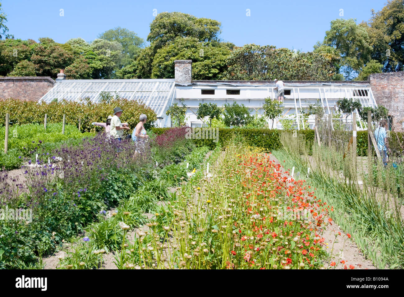 The Flower Garden and greenhouses at the Lost Gardens of Heligan in summer. Cornwall, UK Stock Photo
