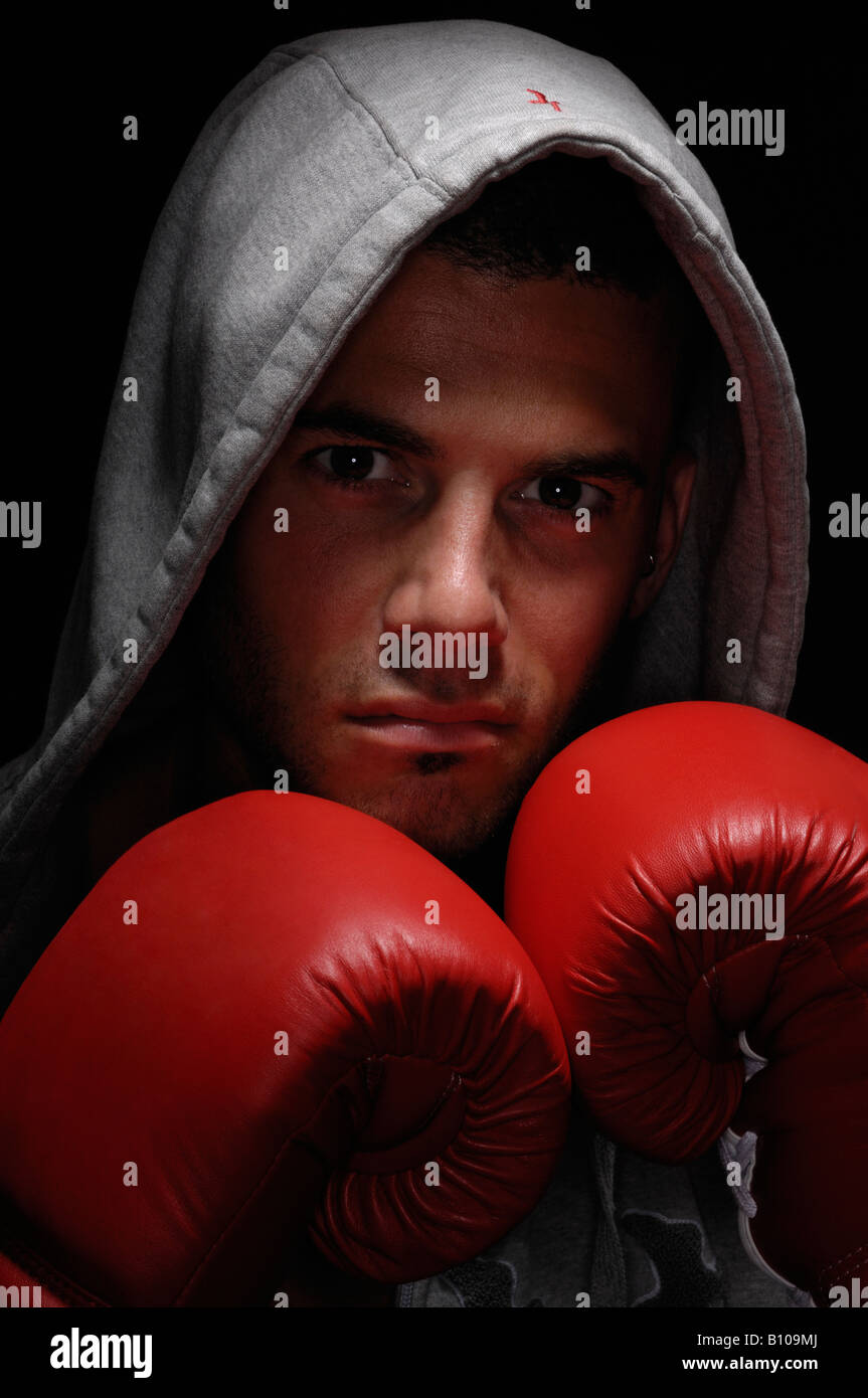 Boxers face to face hires stock photography and images Alamy