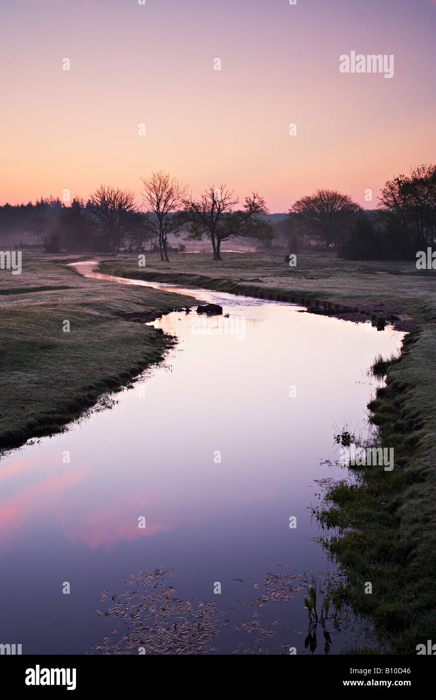 Sunrise over Ober Water, near Rhinefield, New Forest National Park, Hampshire, UK Stock Photo