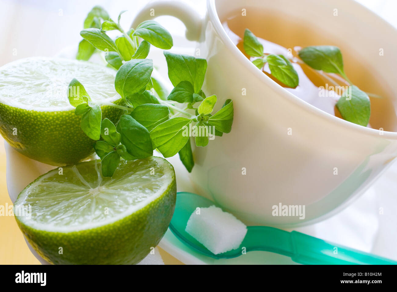Marjoram Healing Tea Stock Photo Alamy