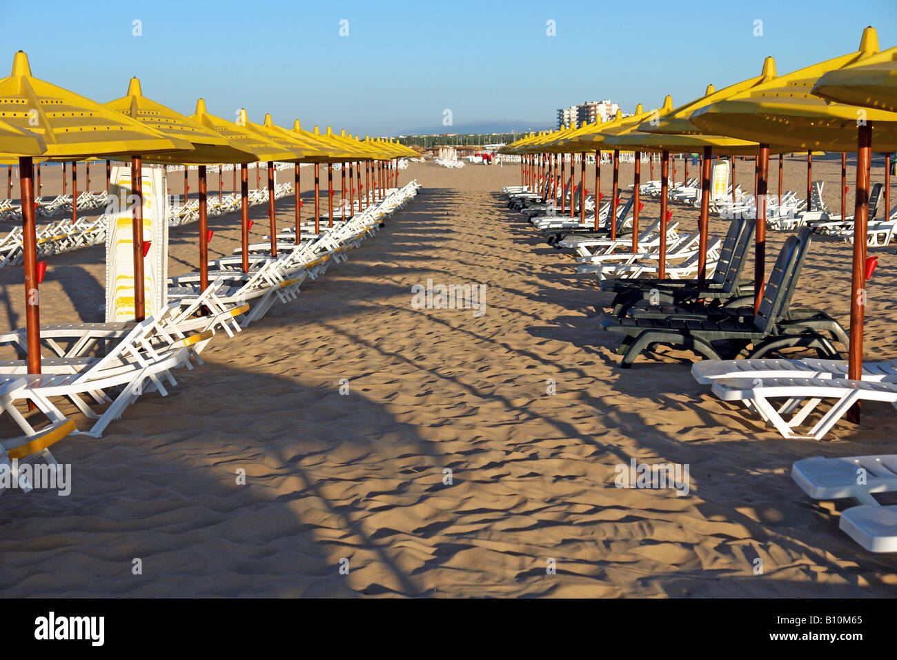 Line of yellow parasol at the beach Stock Photo