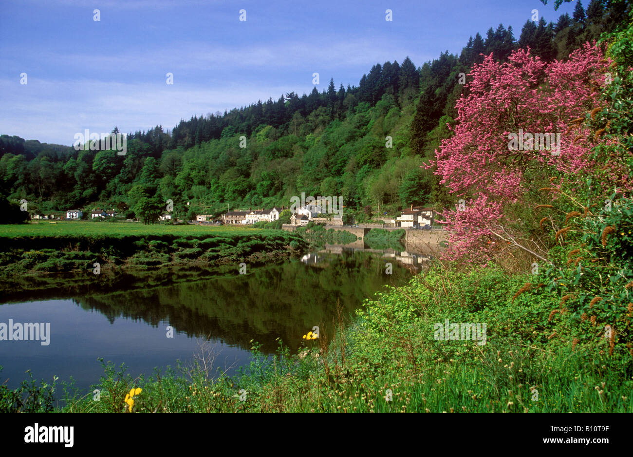 Tintern - Springtime on the River Wye Stock Photo - Alamy