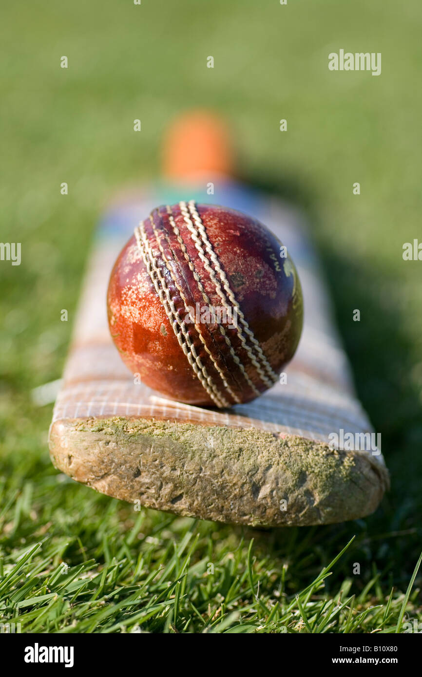 Cricket ball on bat Stock Photo - Alamy