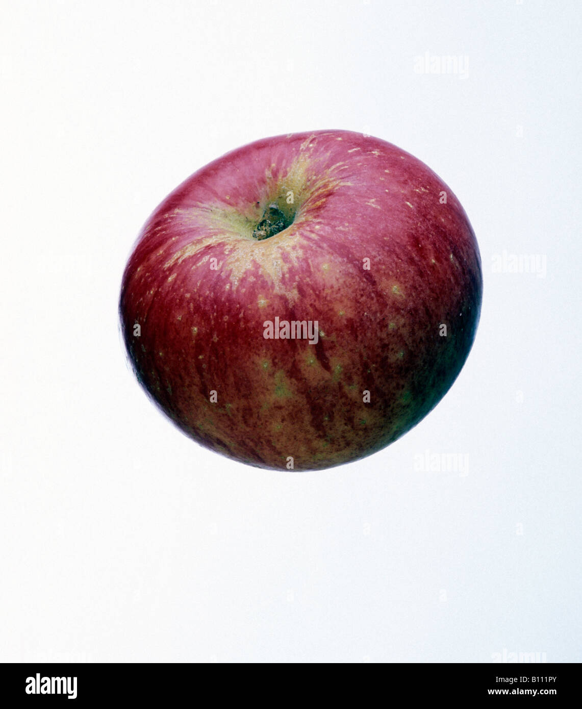 Ingrid Marie UK apple Stock Photo Alamy