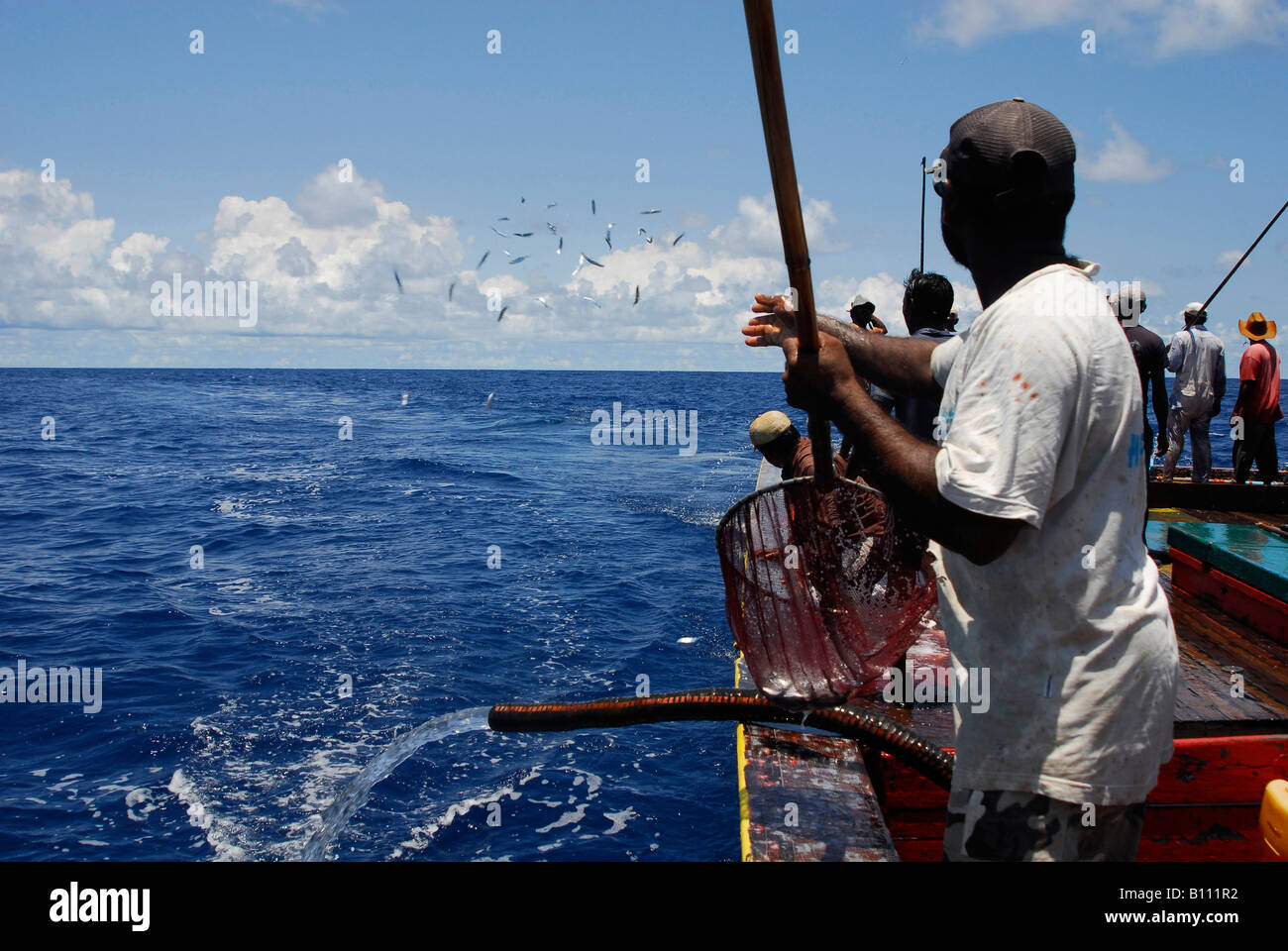 Catching Tunas with traditional Fishing rod Indian Ocean Maldives Islands Stock Photo