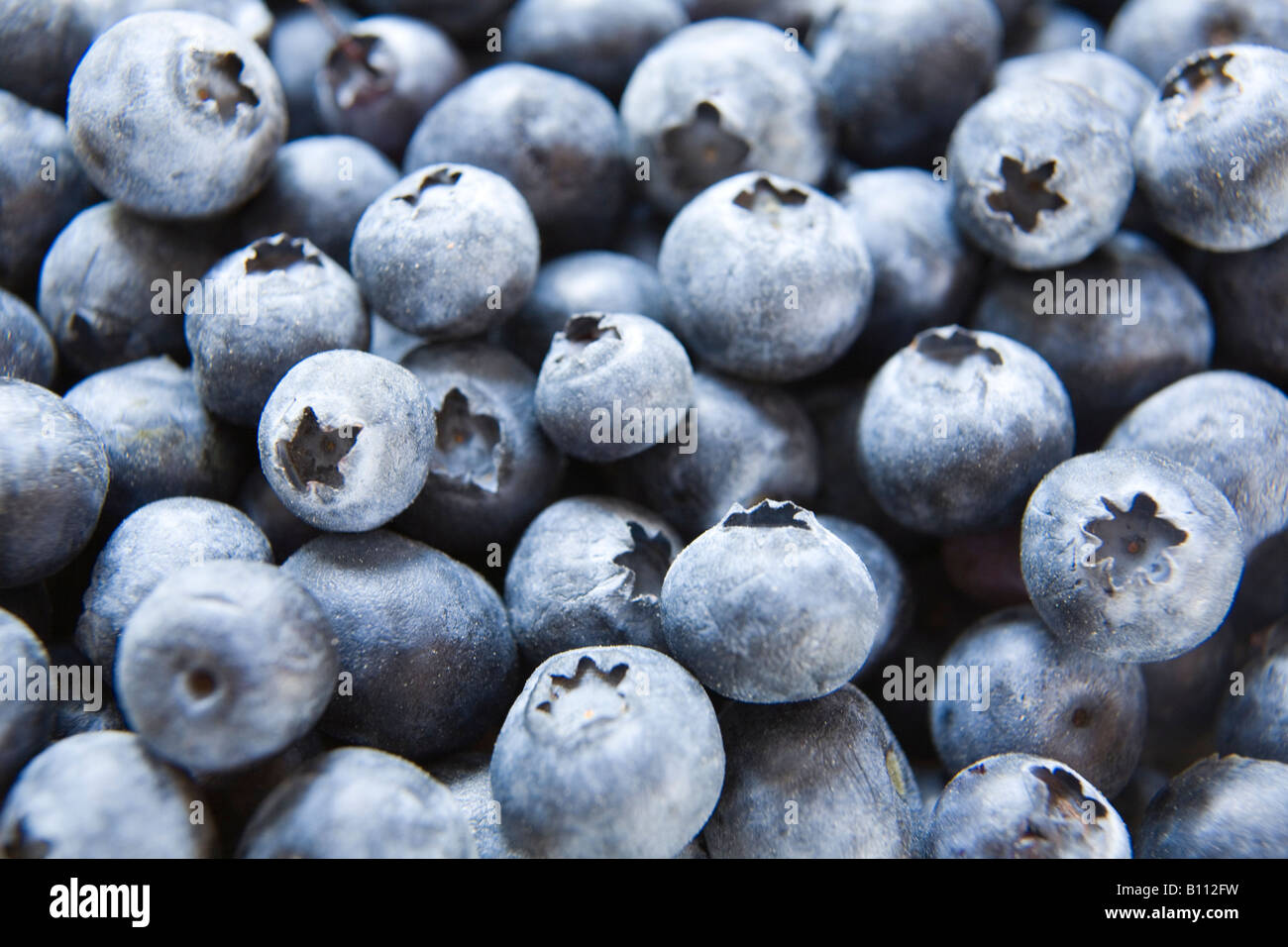 Full frame view of ripe blueberries Stock Photo - Alamy