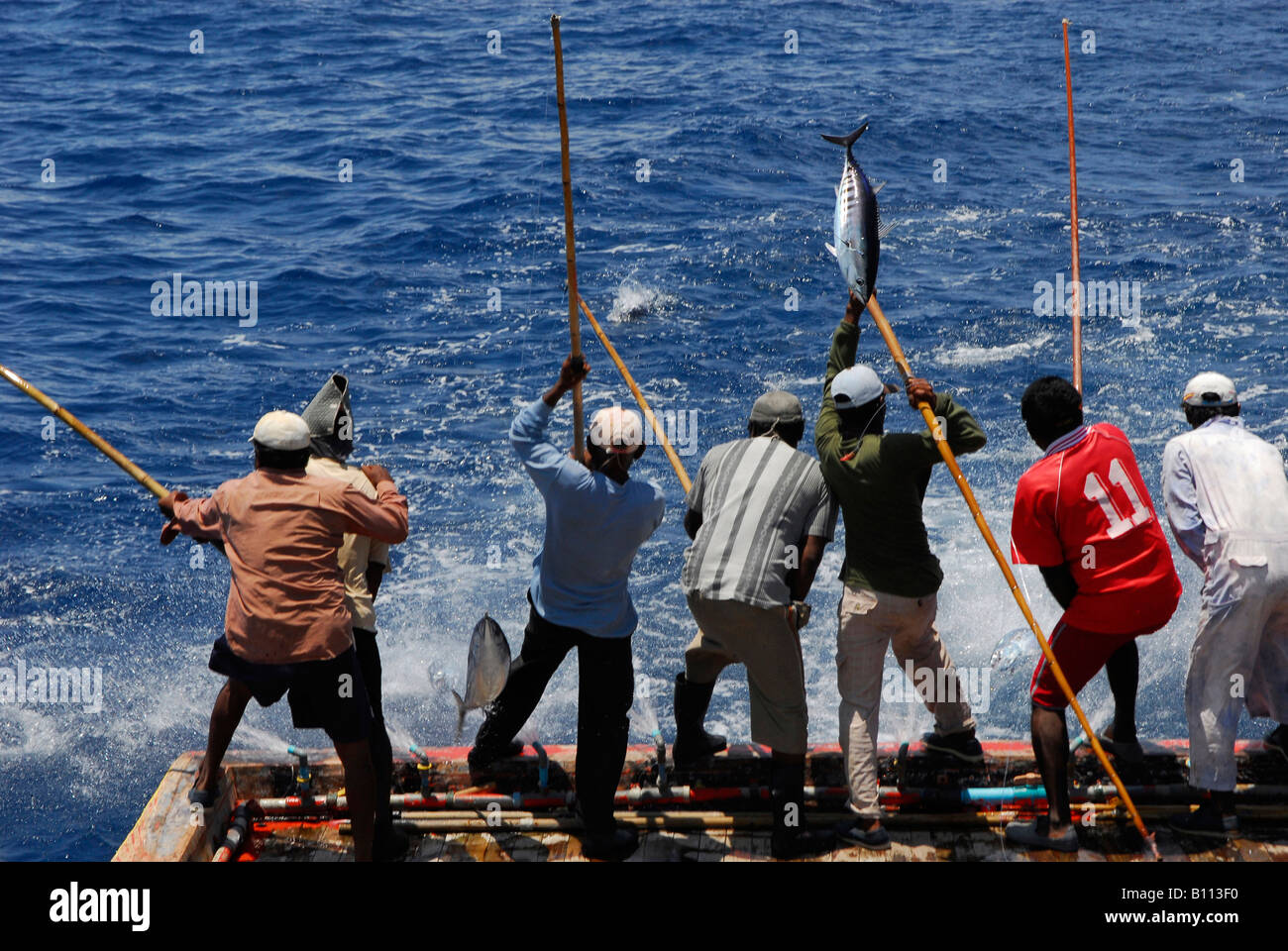 Tuna Fishermen with traditional Fishing rod Indian Ocean Maldives