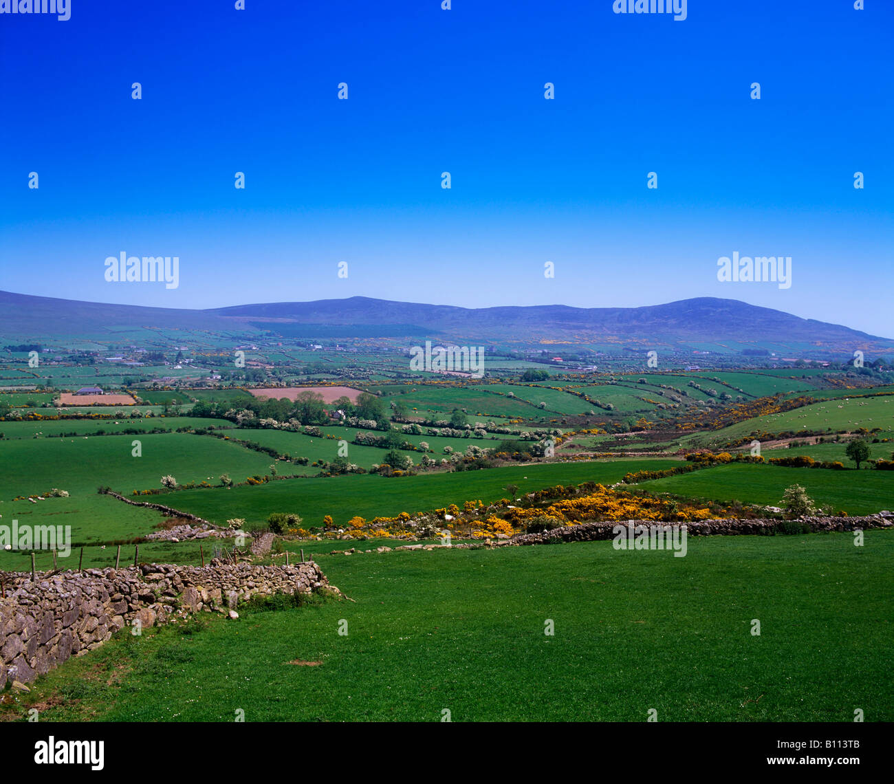 Cooley Peninsula, County Louth, Ireland Stock Photo Alamy