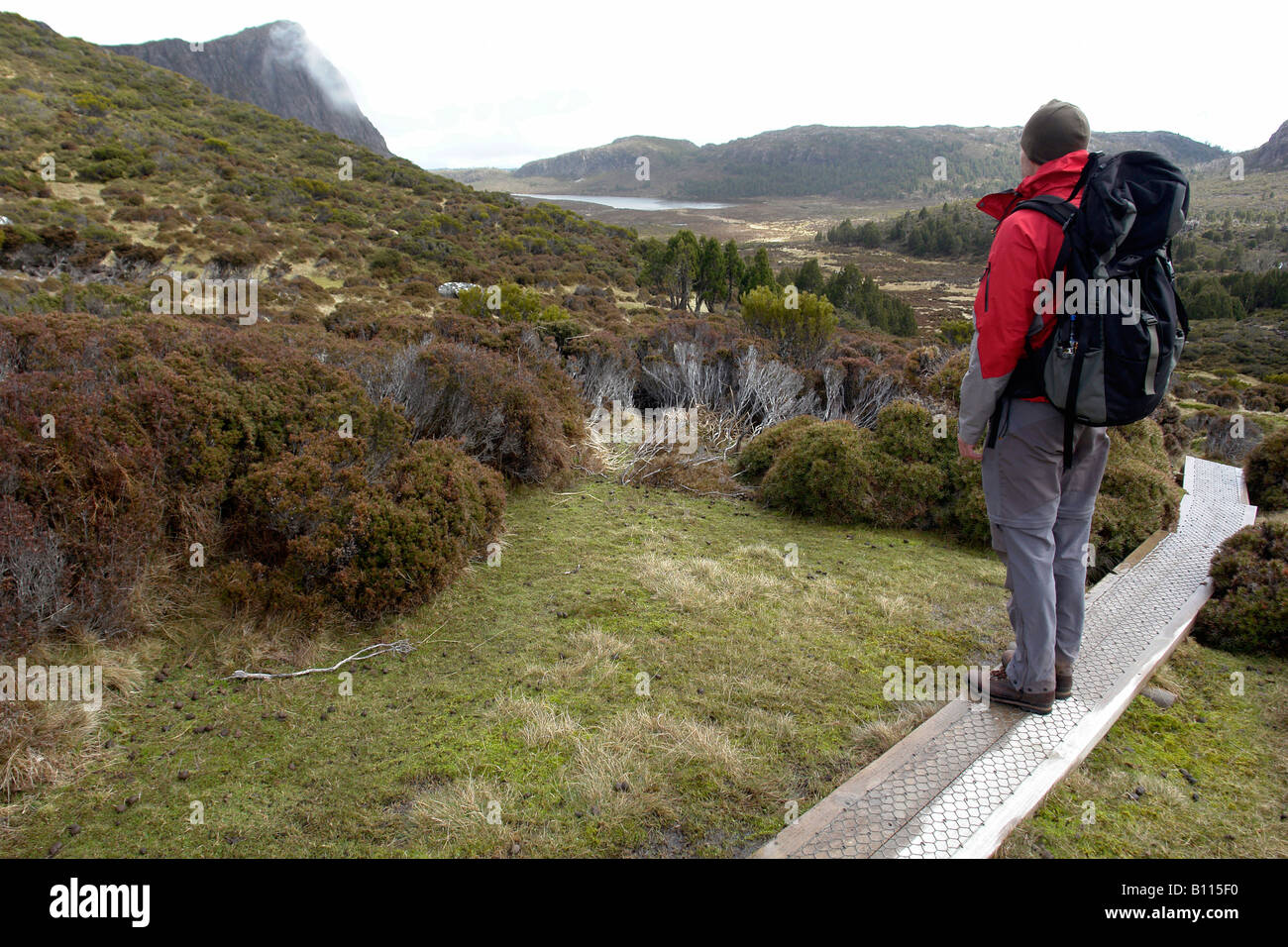 Trekking at the Walls of Jerusalem National Park Cradle Mountain Tasmania Stock Photo