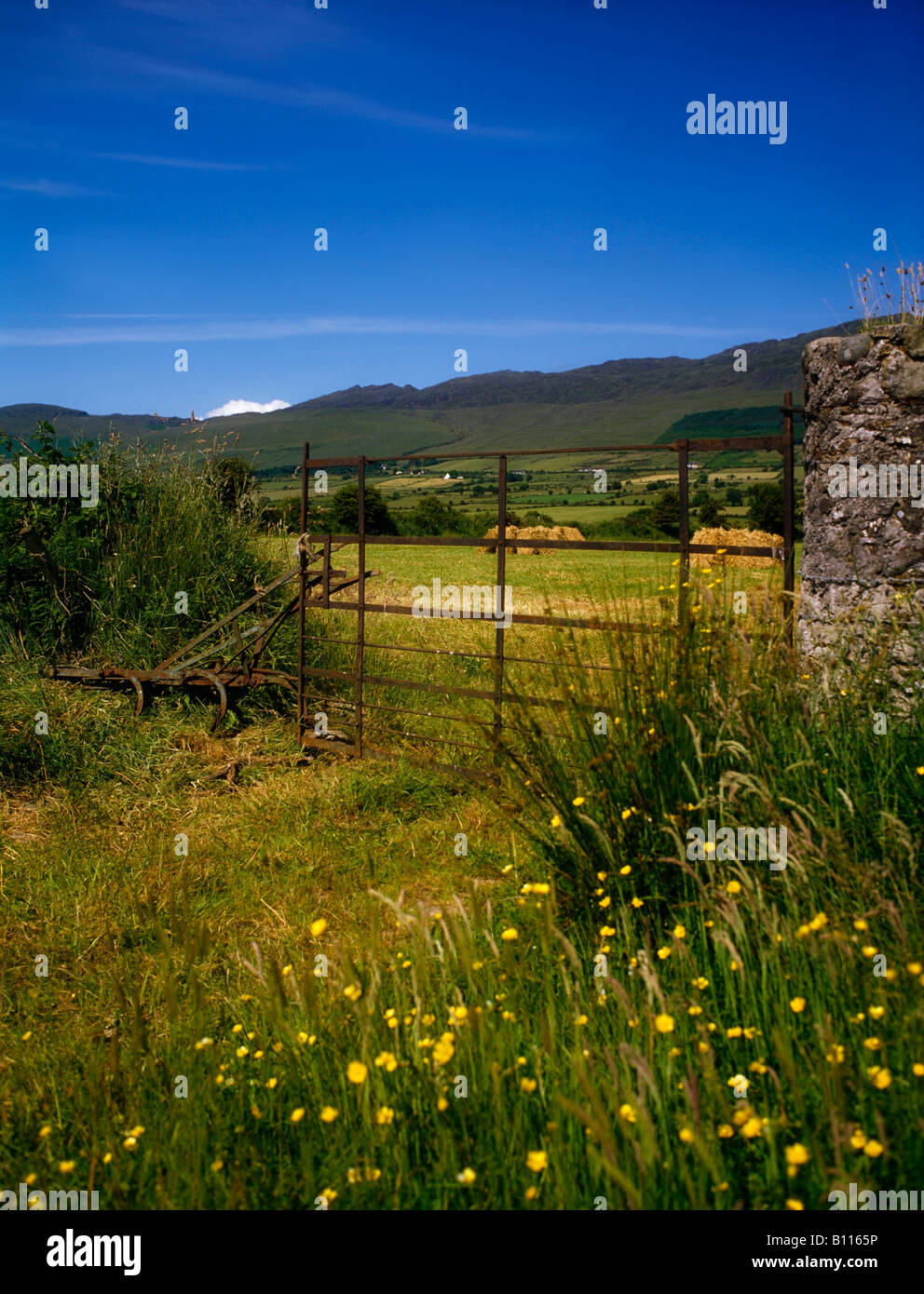 Farm gates, Cooley Peninsula, Co Louth, Ireland Stock Photo