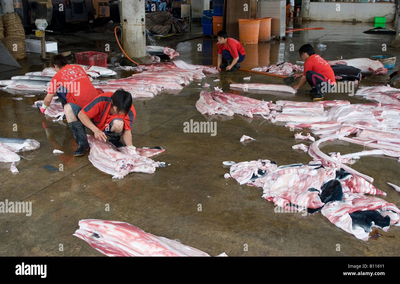 Fishmongers preparing tuna in a fish market Stock Photo