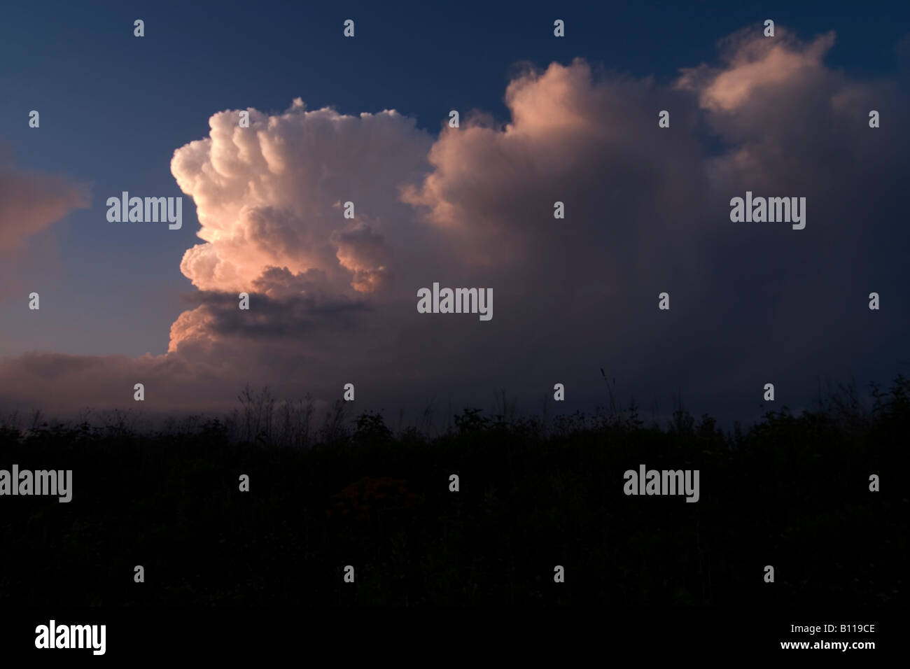 Cumulonimbus storm cloud in evening light Stock Photo - Alamy