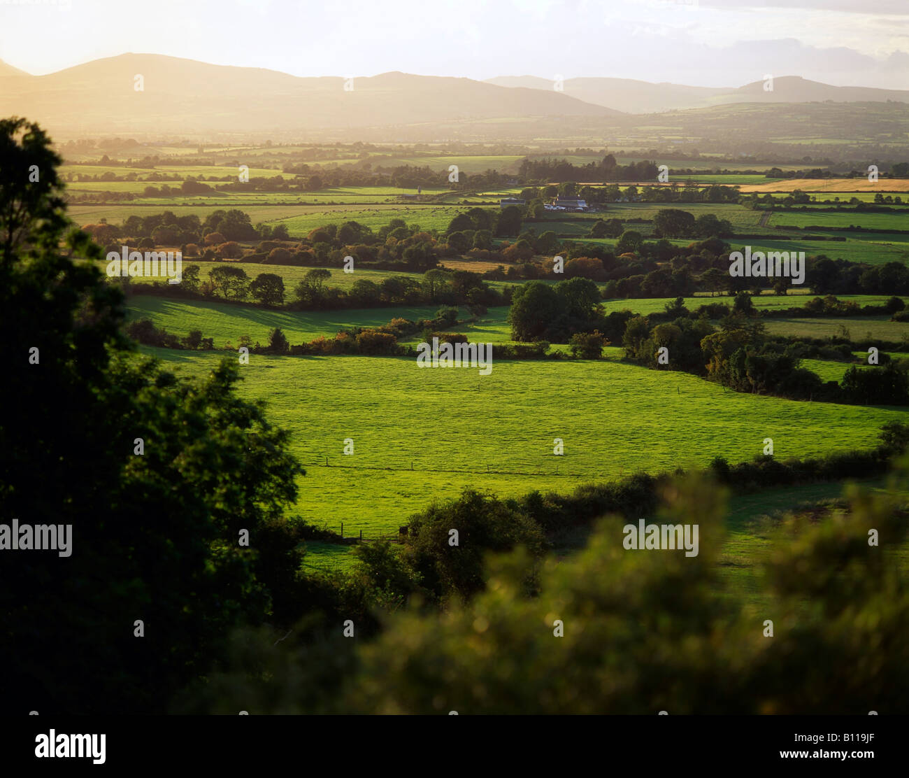 Mitchelstown hires stock photography and images Alamy