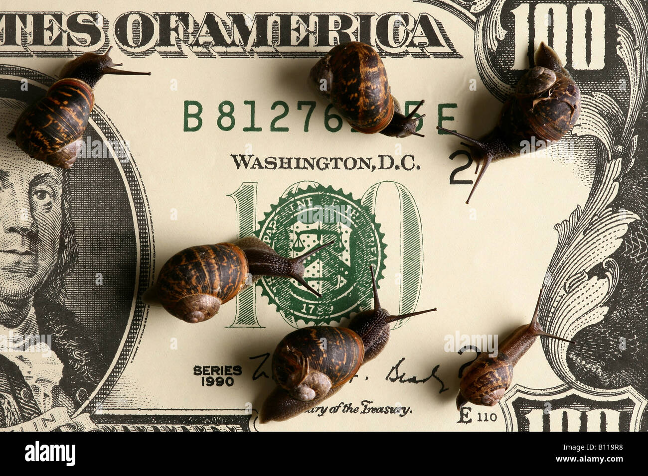 [snails on a large 100 dollar bill concept slow economy"] Stock Photo