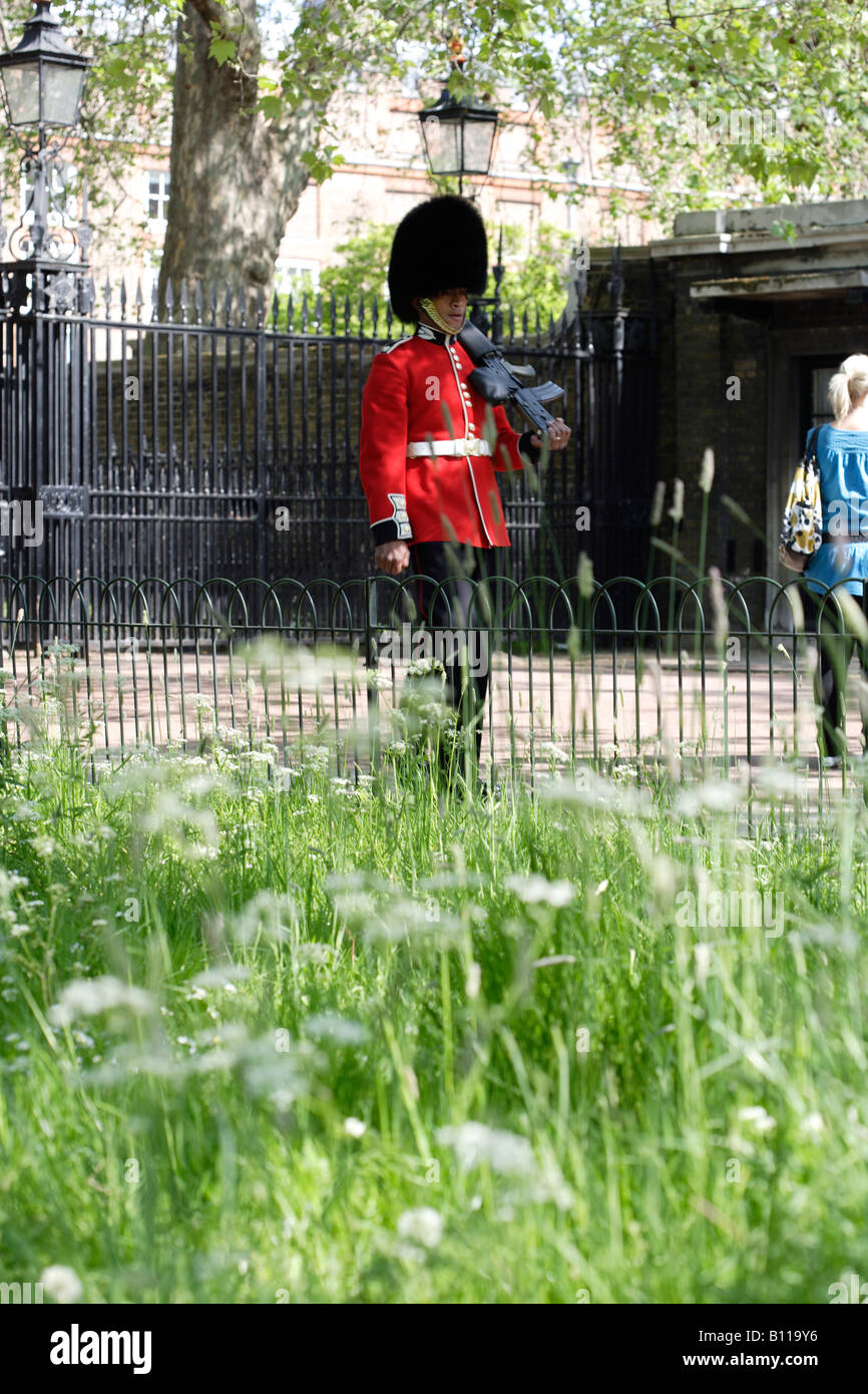 Scots guardsman on duty at Clarence House London England Stock Photo