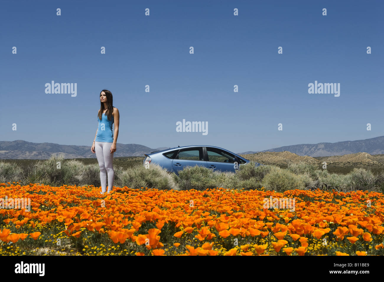 Young woman standing by a blue Toyota Prius in field of poppies Stock Photo