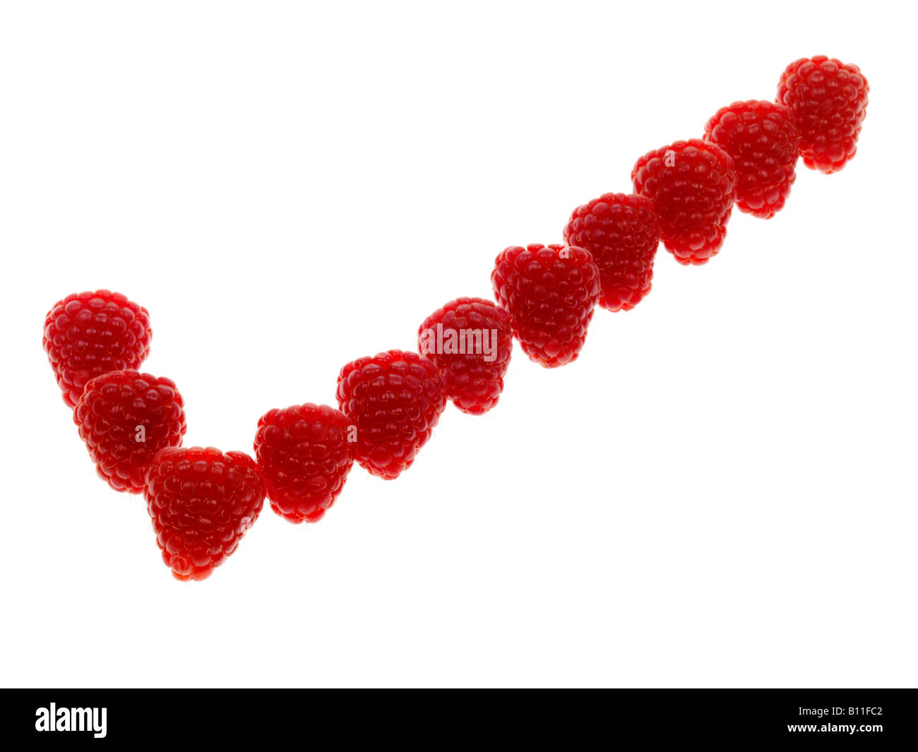 Striped Check Raspberry Tick berry hi-res stock photography and images - Alamy