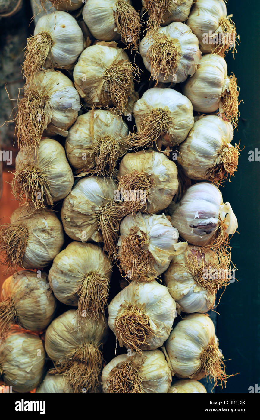 Garlic braid Stock Photo