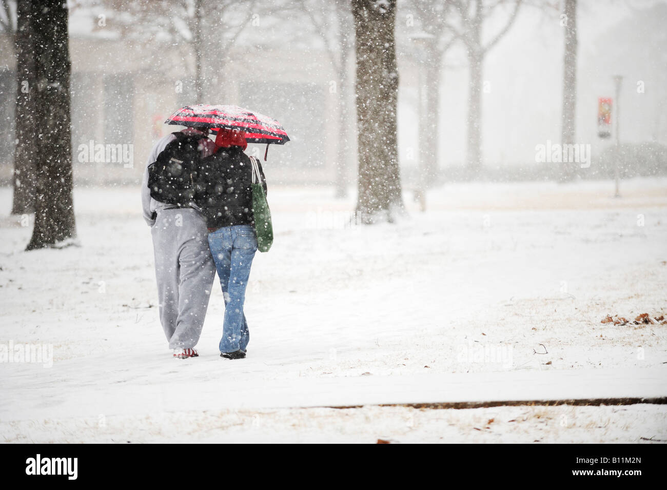 A male and female student share an umbrella in a snowfall on the Arkansas State University campus on January 31st 2008 Stock Photo