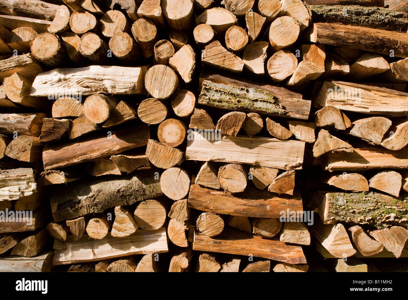 OUTDOOR WOODPILE Stock Photo