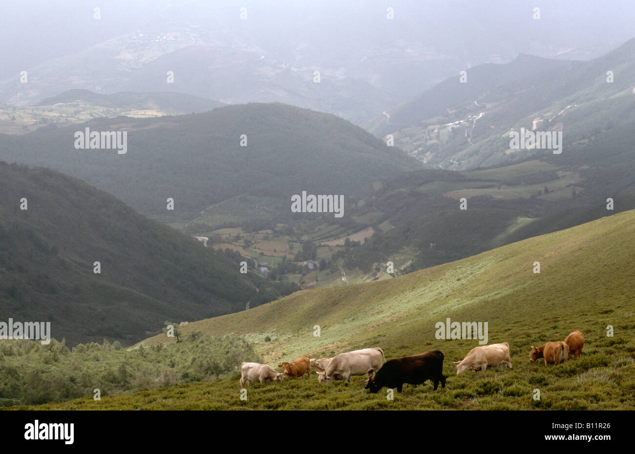 looking towards Balouta and Suarbol from Miravalles north of ...